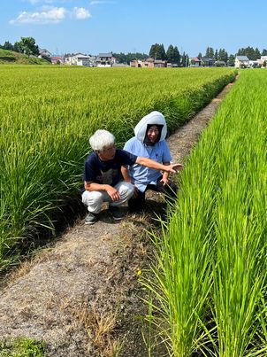 ネオニコチノイド系農薬・・・神経毒の危険性　～大阪　寝屋川　お米屋さん～