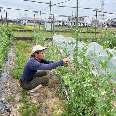5月25日(土)は農家さんの野菜販売🥬　～寝屋川　お米屋さん～