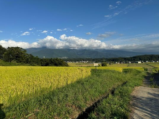 長野県にてお米を仕入れました🍀　～大阪　寝屋川　お米屋さん～
