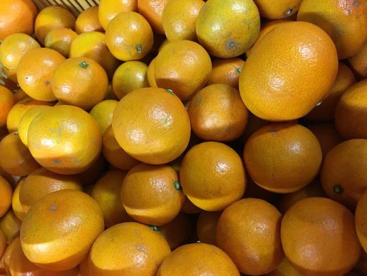 和歌山県庄田果樹園さんの美味しいみかんがやってくる🍊　～大阪　寝屋川　お米屋さん～