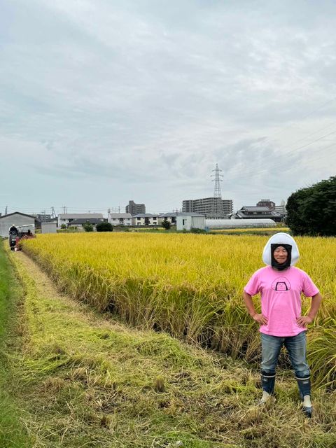 おにぎりマンIN奈良県畑田さんの田んぼ　～大阪　寝屋川　お米屋さん～
