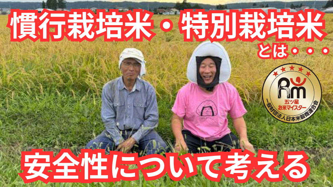 特別栽培米と慣行栽培米の違いをご存じでしょうか？？　～大阪　寝屋川　お米屋さん～