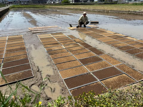 奈良県　苗代づくりがスタート！　～大阪　寝屋川　お米屋さん～