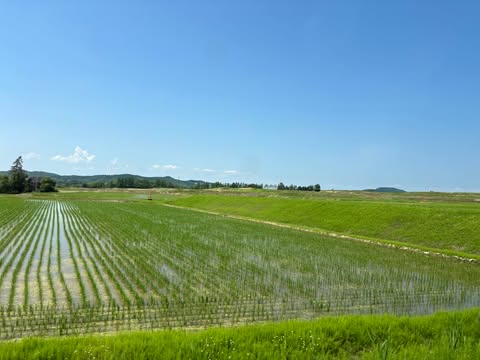 〈産地訪問〉北海道へ行って参りました🍙　～大阪　寝屋川　お米屋さん～